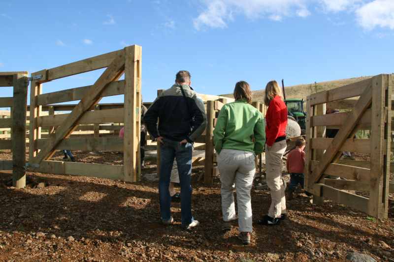 Nieuw-Zeeland 2011 - 1848